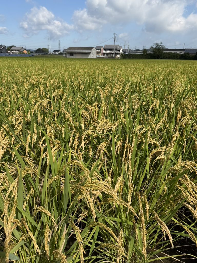 最終月に入りました 令和8年10月1日
