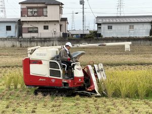 2回目のうす引きを経て3回目の稲刈りへ　　令和8年10月23日