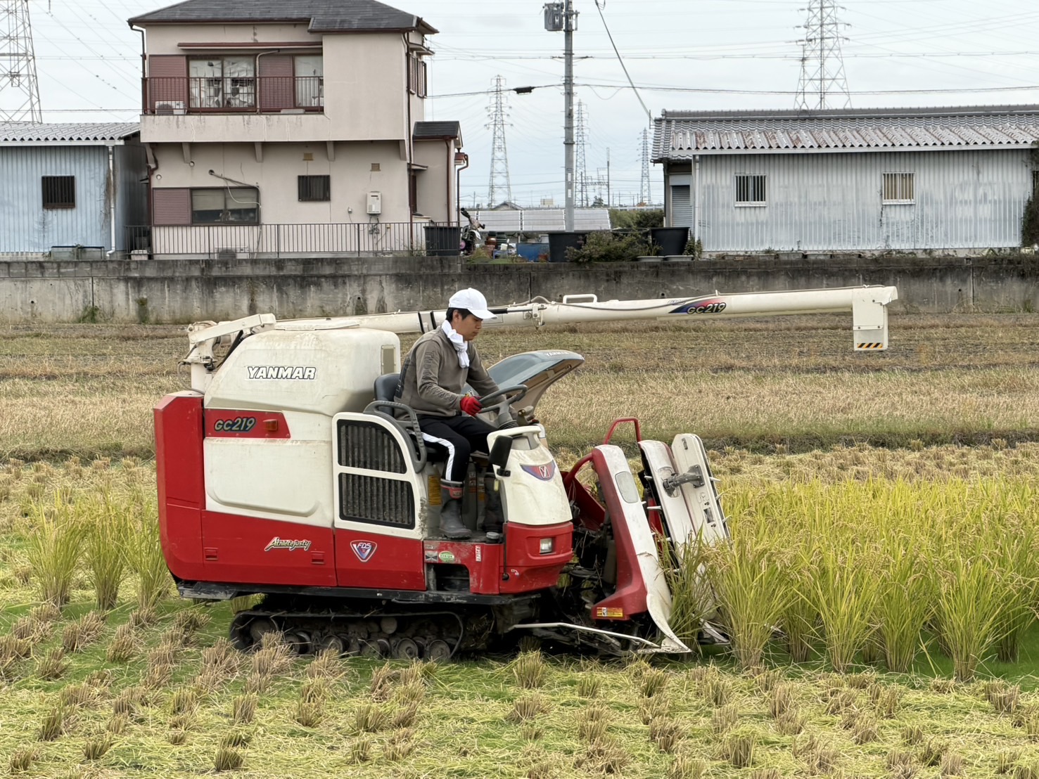 2回目のうす引きを経て3回目の稲刈りへ　　令和8年10月23日